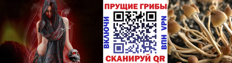 Галлюциногенные грибы MAGIC MUSHROOMS  Берёзовка 